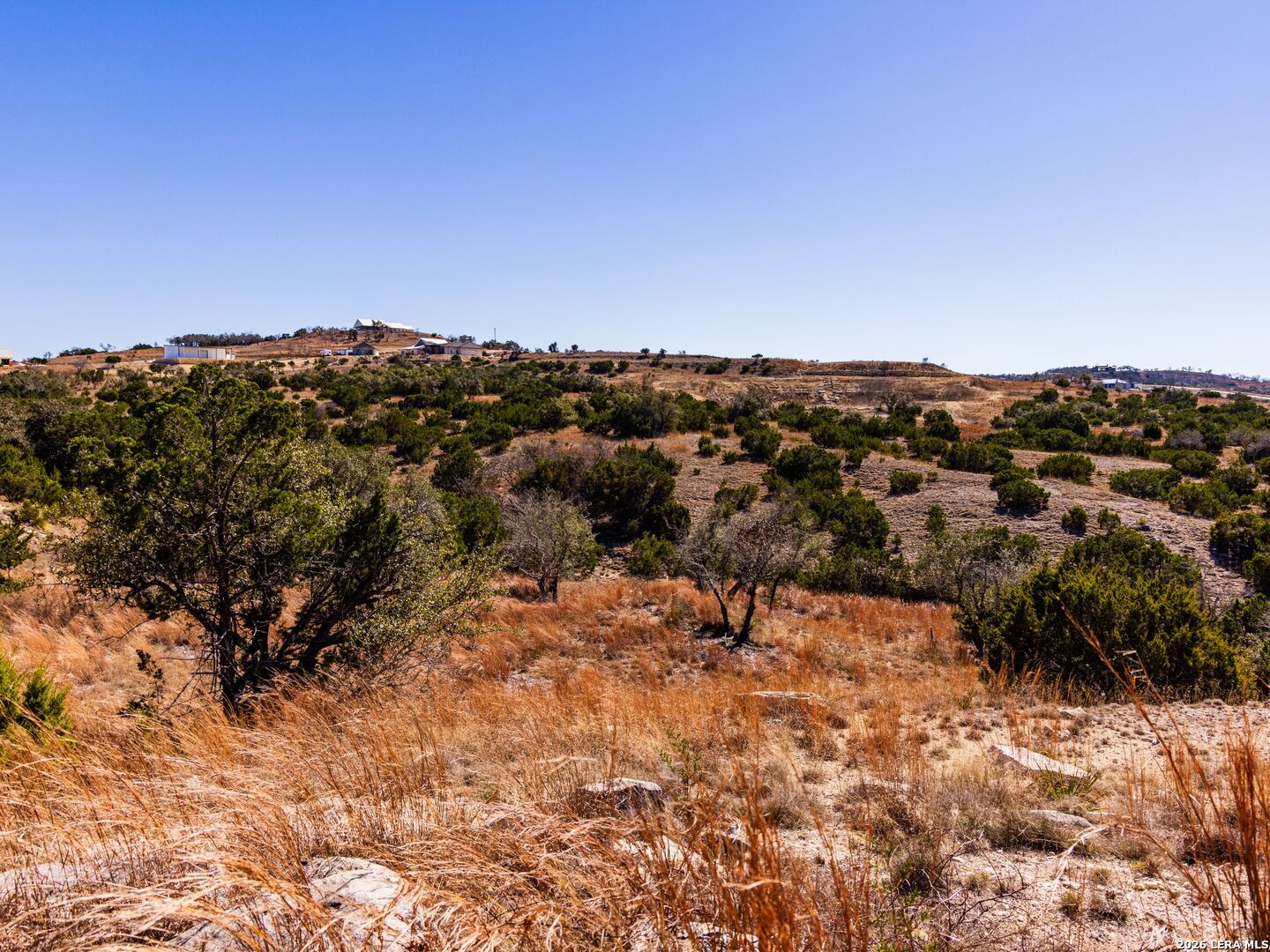 717 N Scenic Hills Court Blanco TX 78606