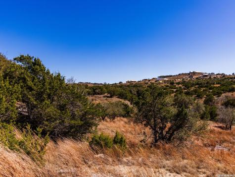 717 N Scenic Hills Court Blanco TX 78606