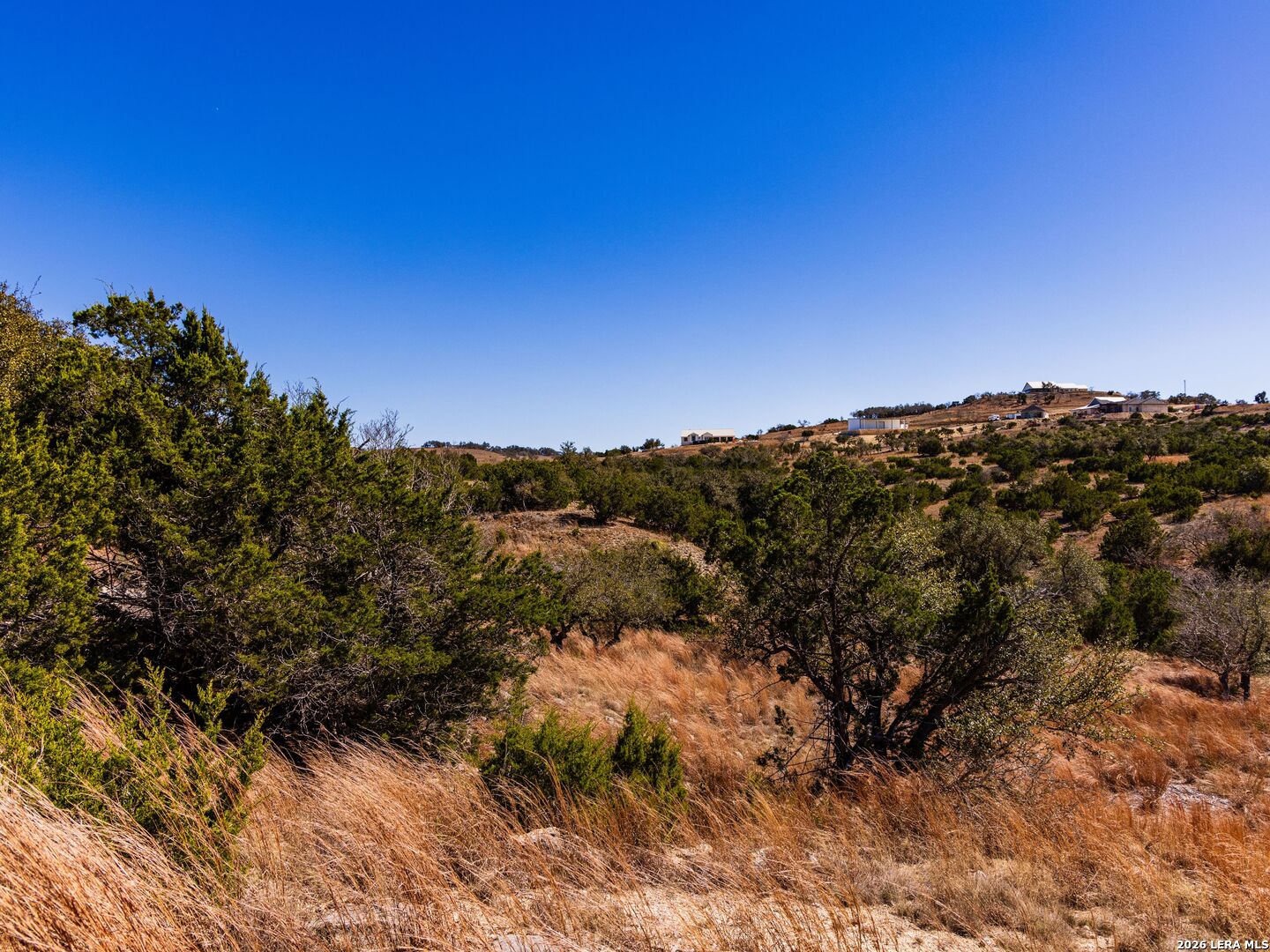 717 N Scenic Hills Court Blanco TX 78606