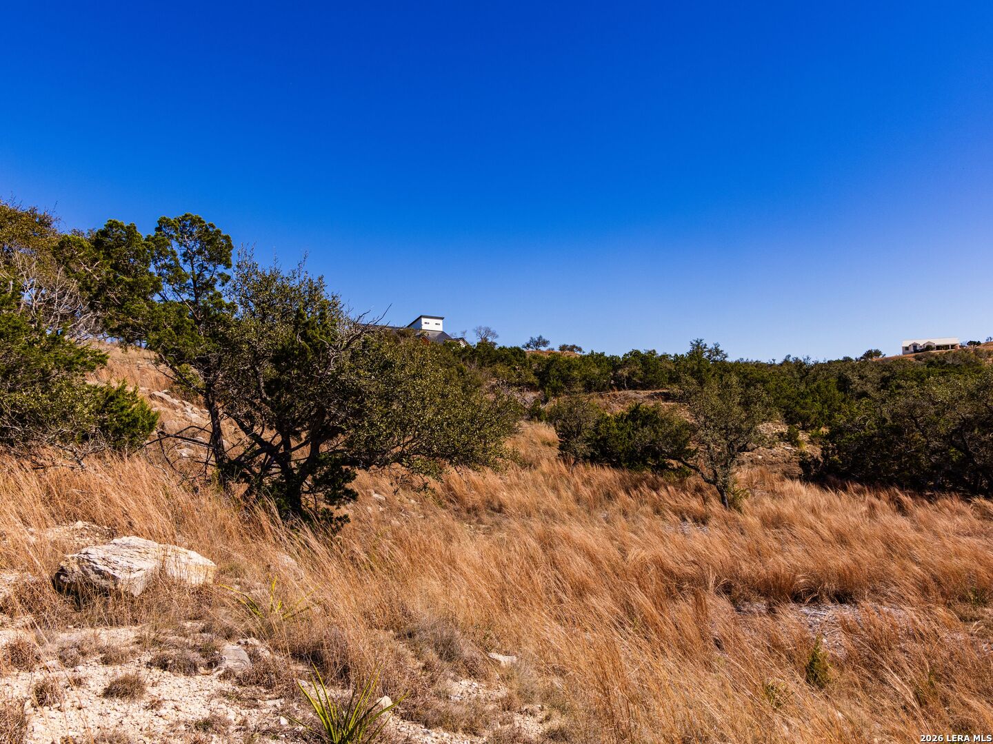 717 N Scenic Hills Court Blanco TX 78606