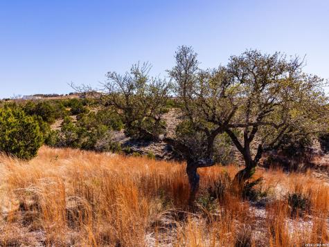 717 N Scenic Hills Court Blanco TX 78606