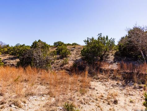 717 N Scenic Hills Court Blanco TX 78606