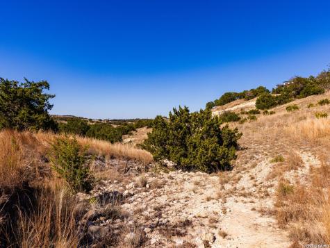 717 N Scenic Hills Court Blanco TX 78606