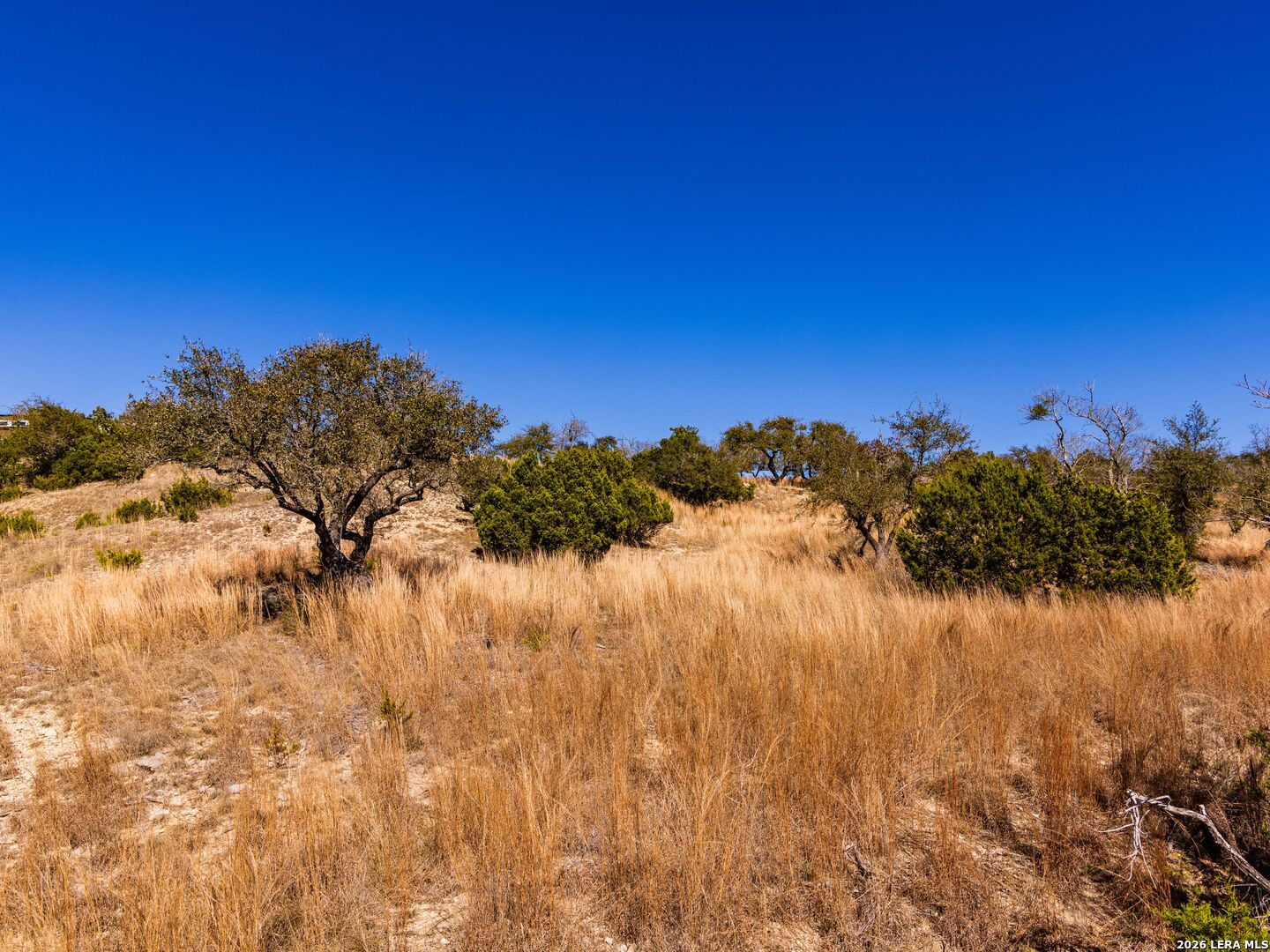 717 N Scenic Hills Court Blanco TX 78606