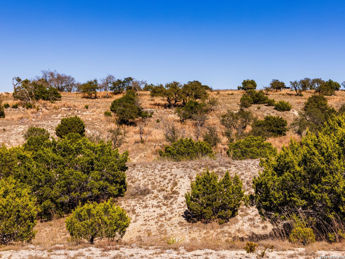 717 N Scenic Hills Court Blanco TX 78606