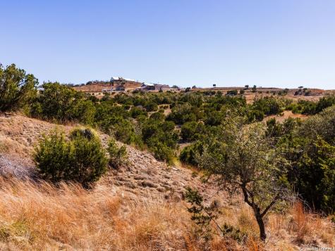 717 N Scenic Hills Court Blanco TX 78606