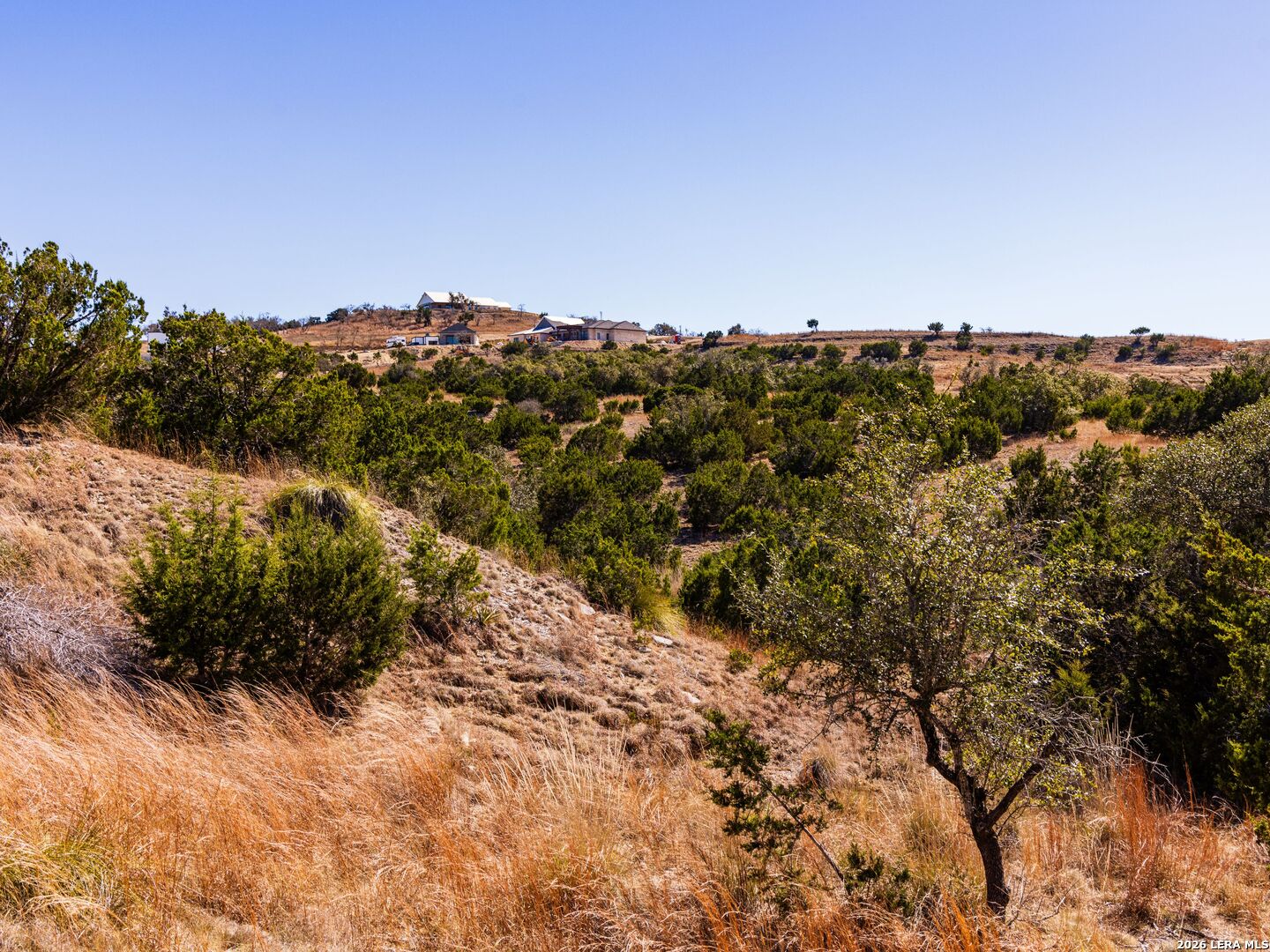 717 N Scenic Hills Court Blanco TX 78606