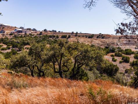 717 N Scenic Hills Court Blanco TX 78606