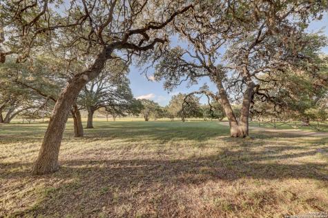246 River Road Hunt TX 78024