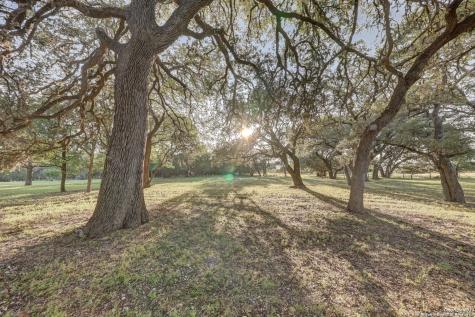 246 River Road Hunt TX 78024
