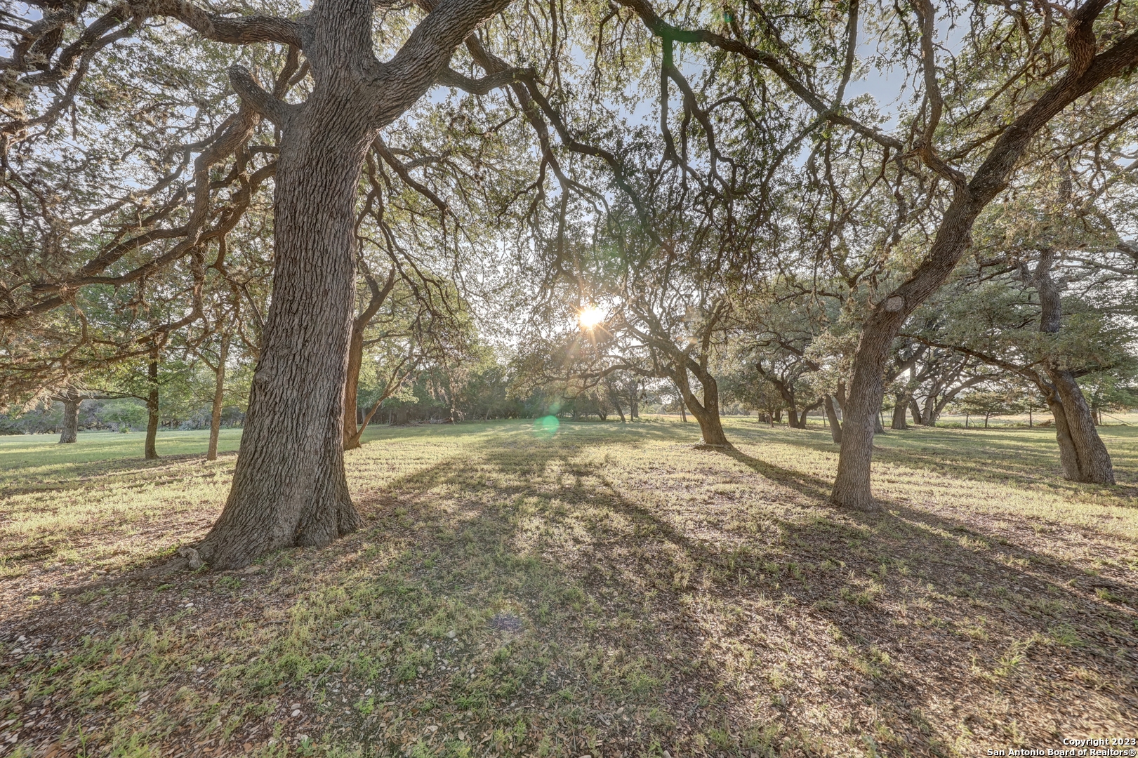 246 River Road Hunt TX 78024