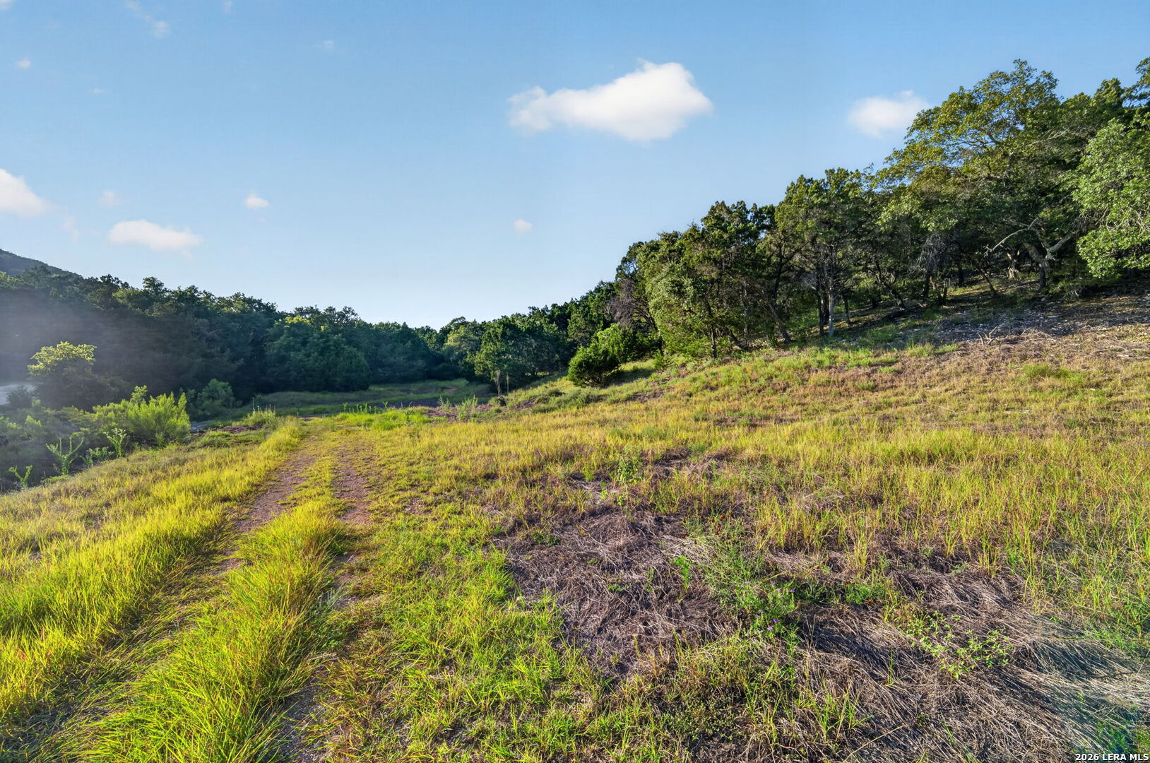 449 Shepherds Crook Helotes TX 78023