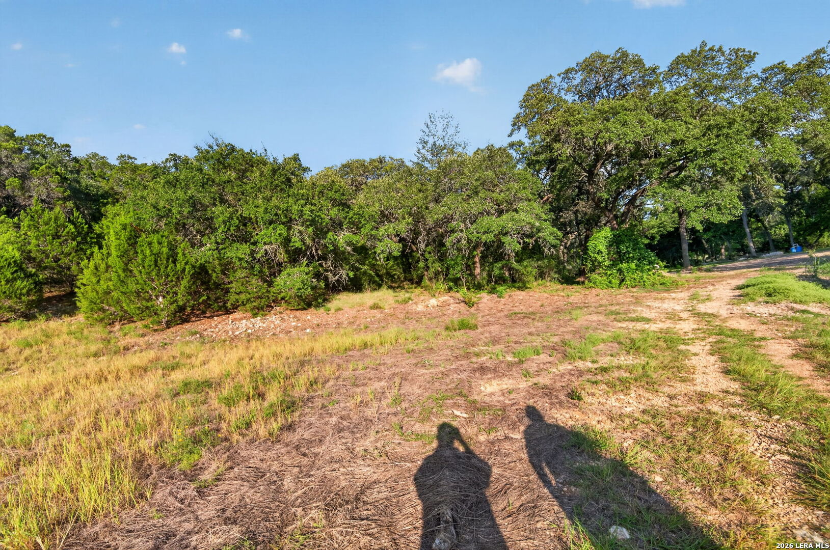 449 Shepherds Crook Helotes TX 78023