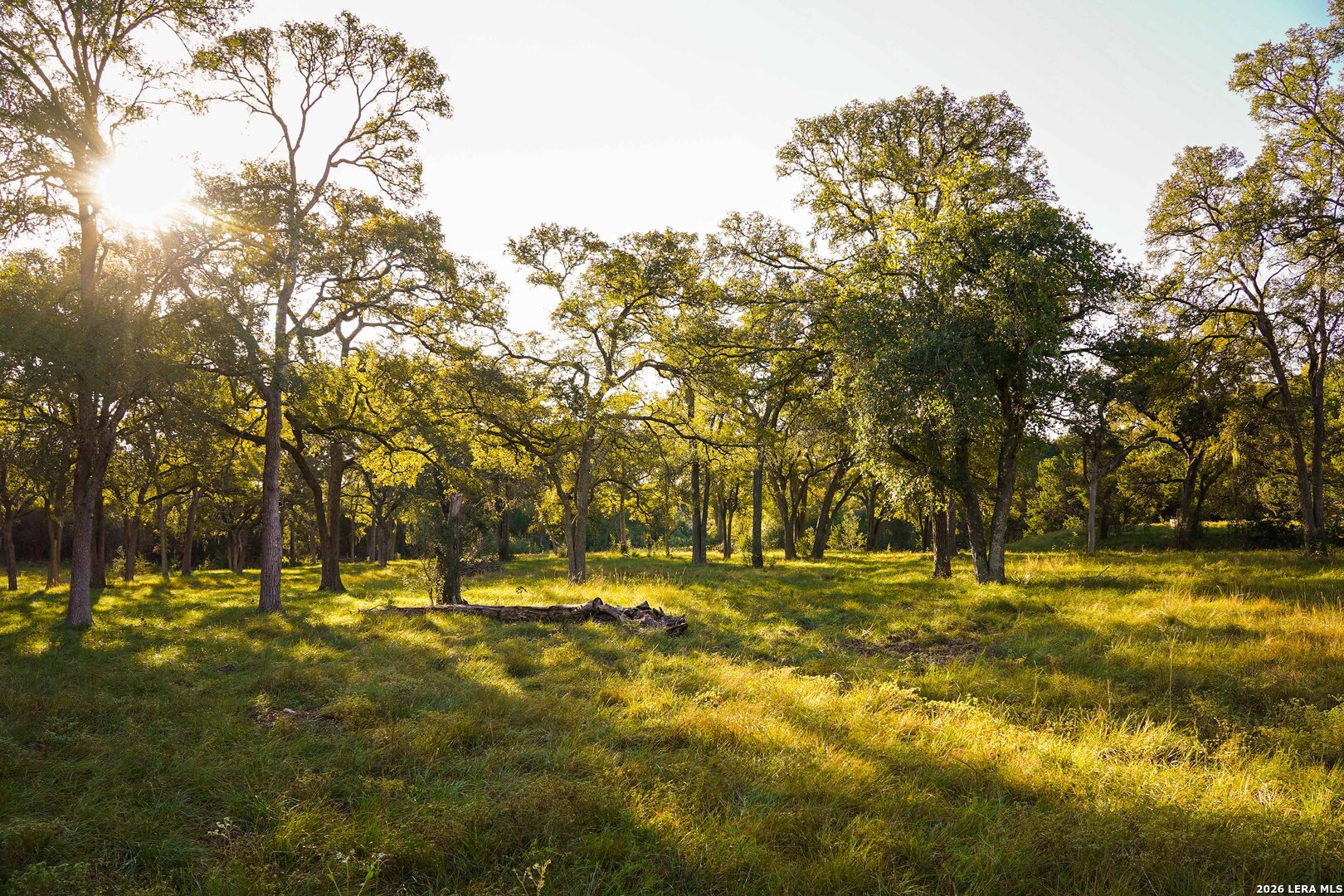 127 Camp Alzafar Road Boerne TX 78006