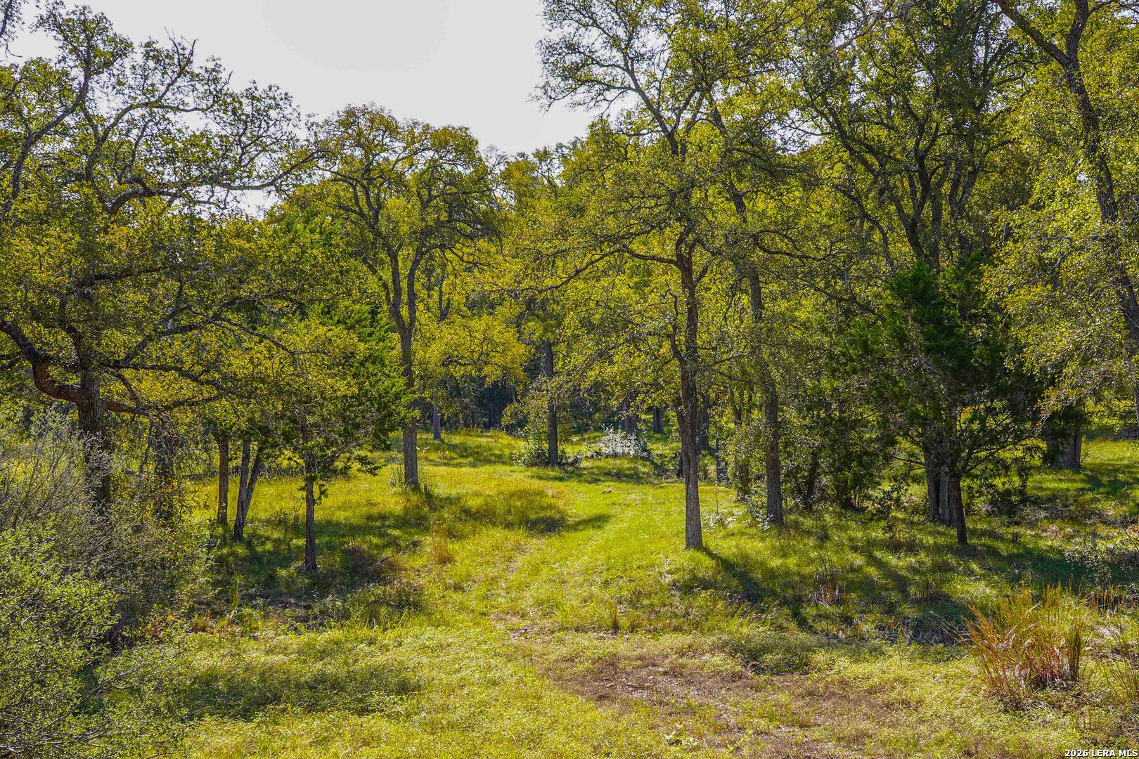 127 Camp Alzafar Road Boerne TX 78006
