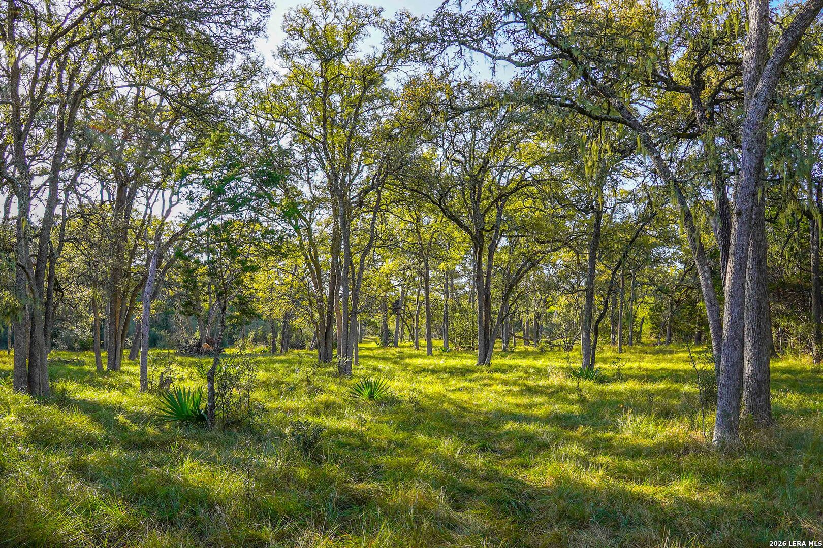 127 Camp Alzafar Road Boerne TX 78006