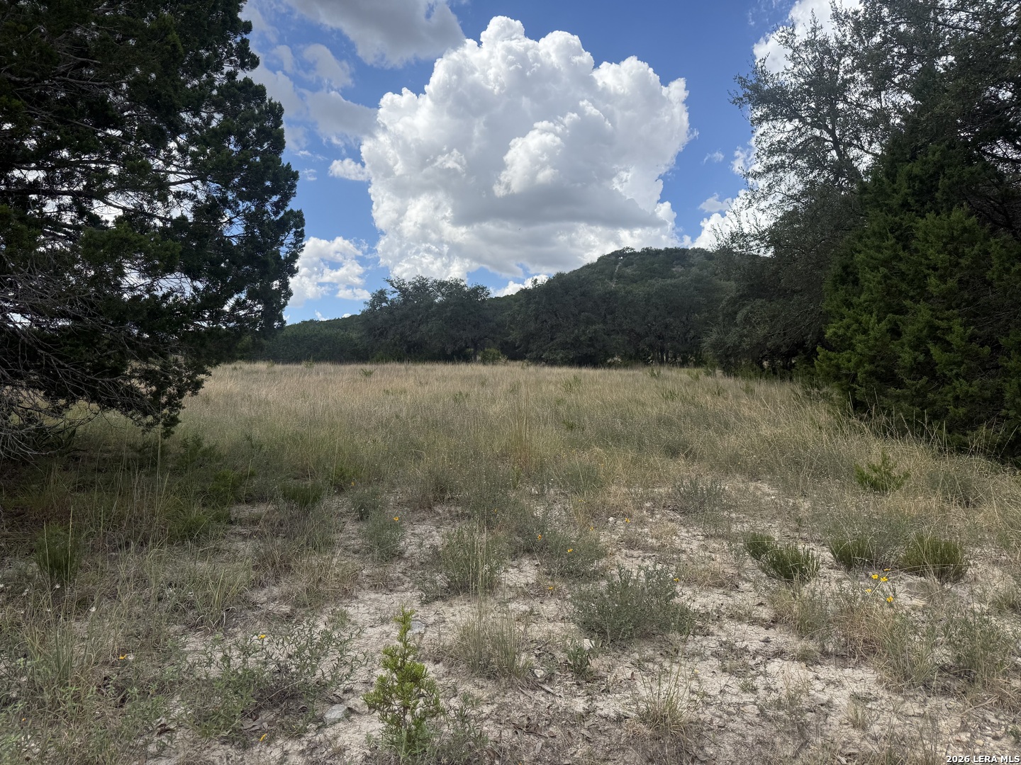 000 Bear Creek Road Pipe Creek TX 78063