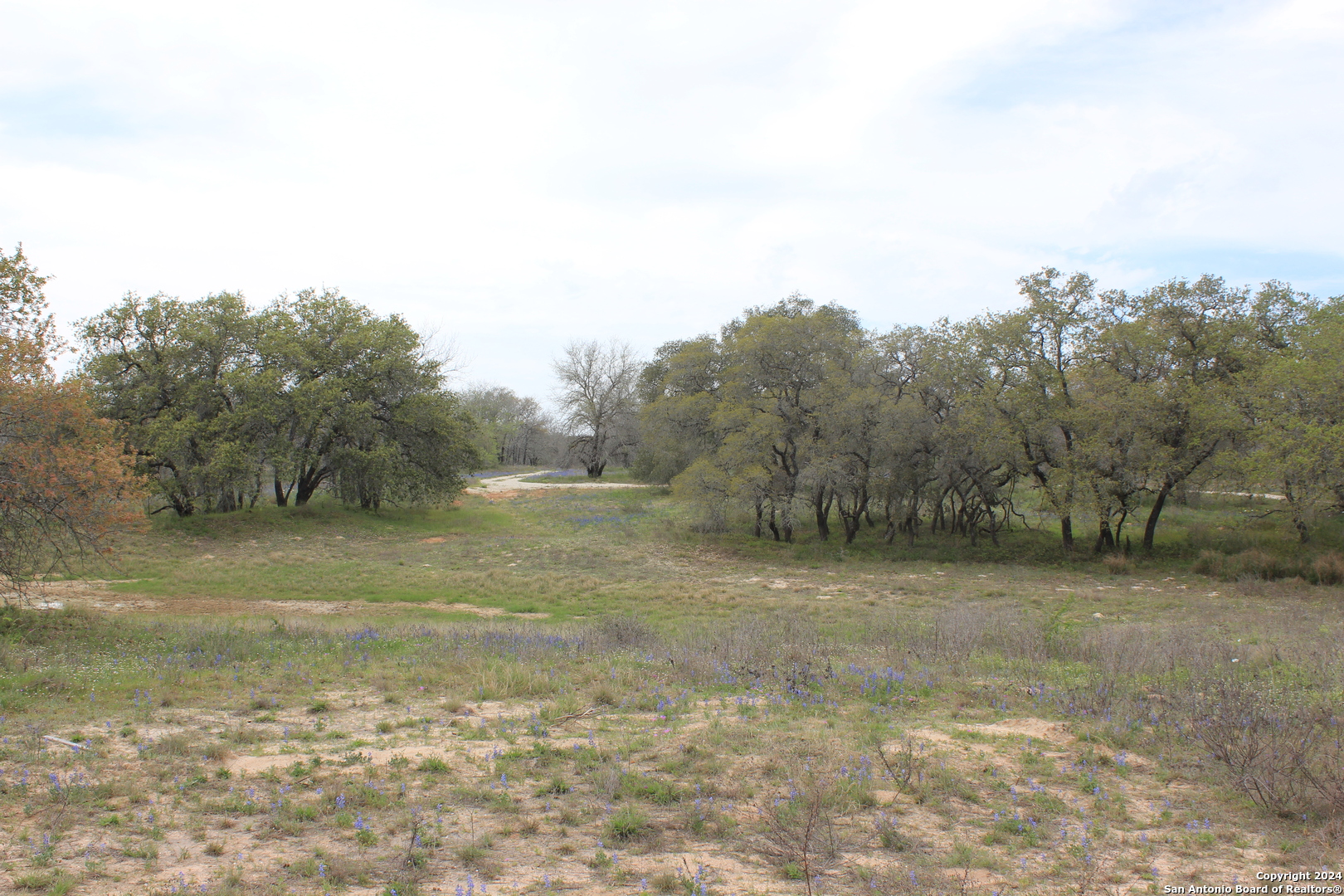 818 Encino Way Natalia TX 78059