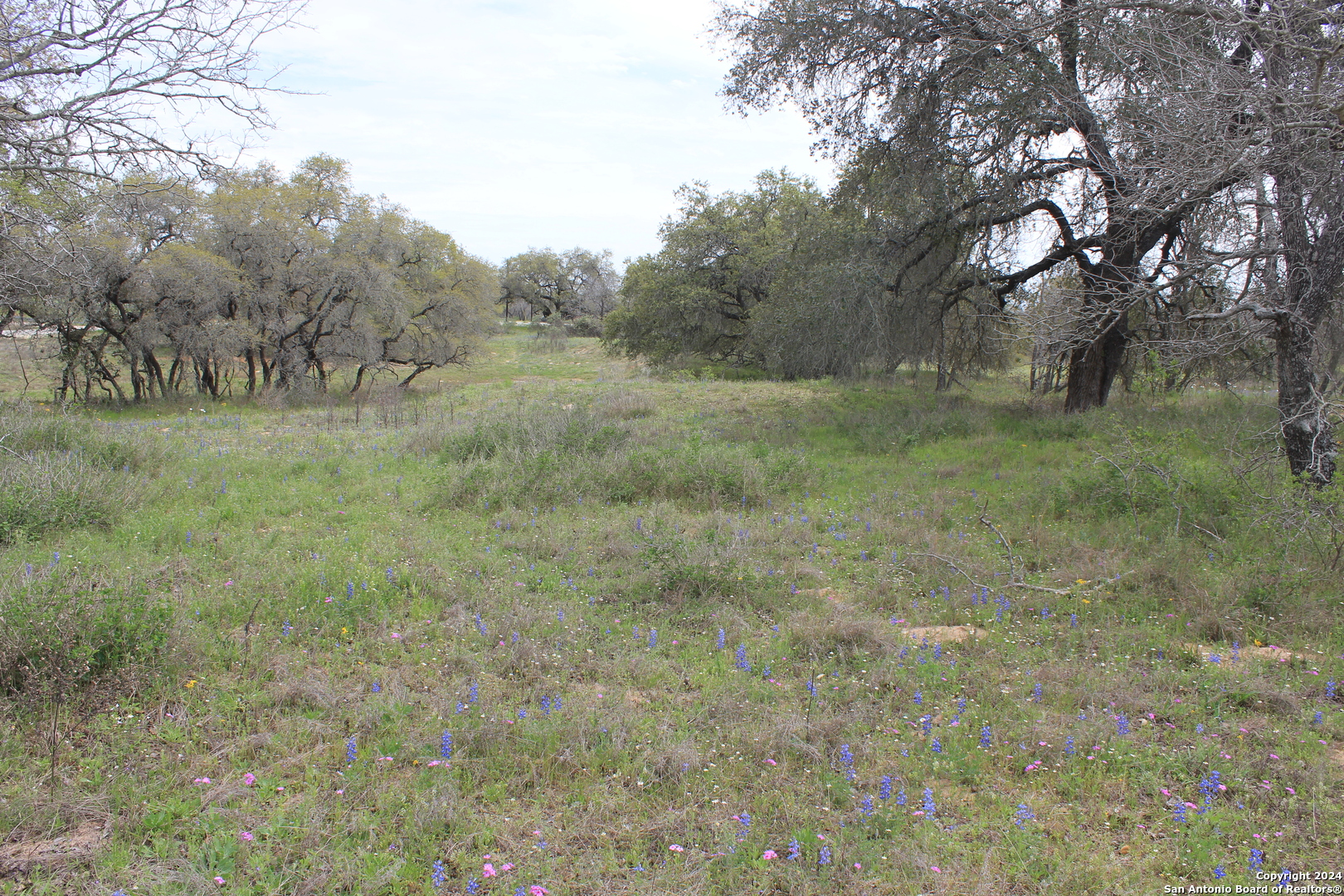818 Encino Way Natalia TX 78059