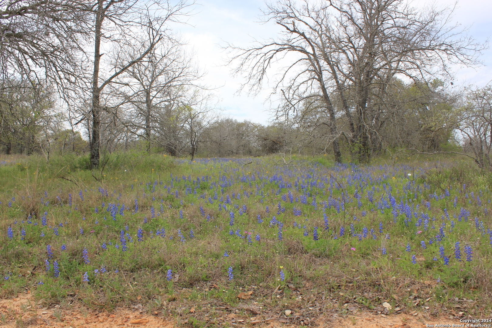 818 Encino Way Natalia TX 78059