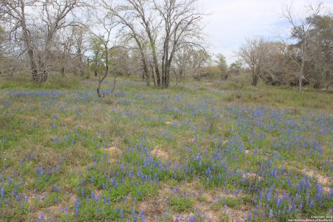 818 Encino Way Natalia TX 78059