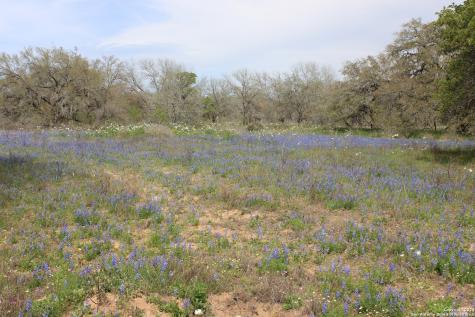 818 Encino Way Natalia TX 78059