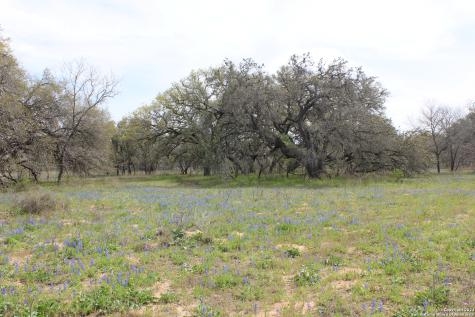 818 Encino Way Natalia TX 78059