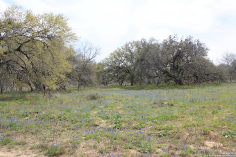 818 Encino Way Natalia TX 78059
