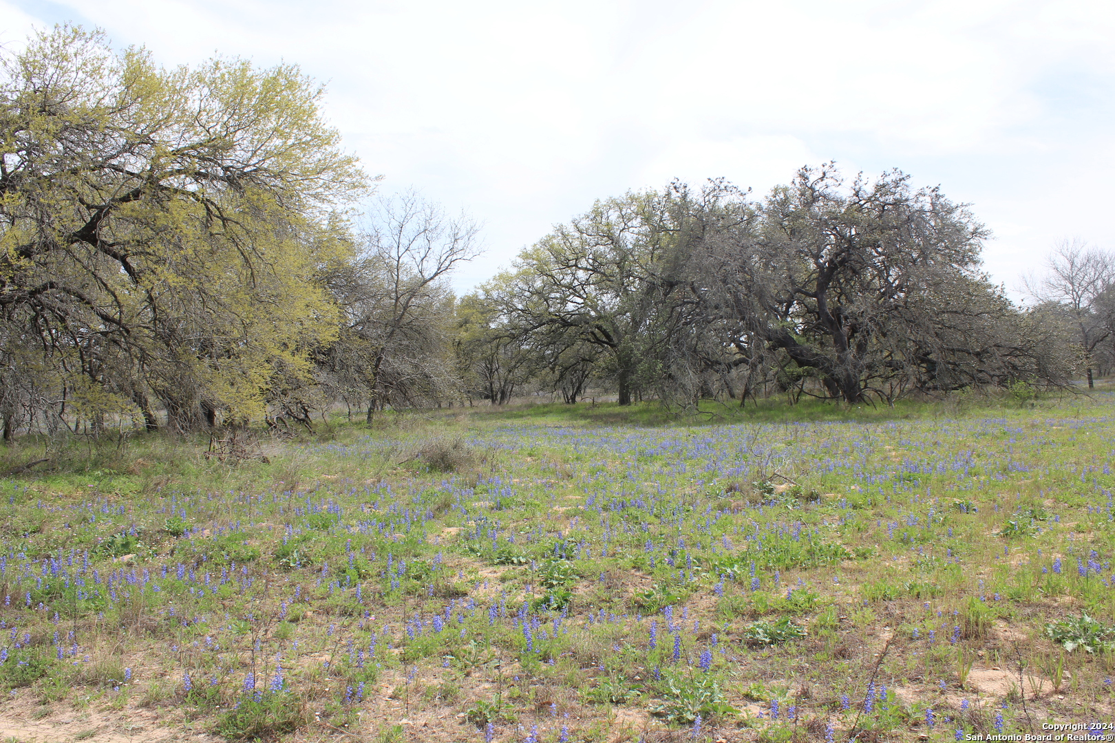 818 Encino Way Natalia TX 78059