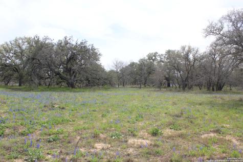 818 Encino Way Natalia TX 78059