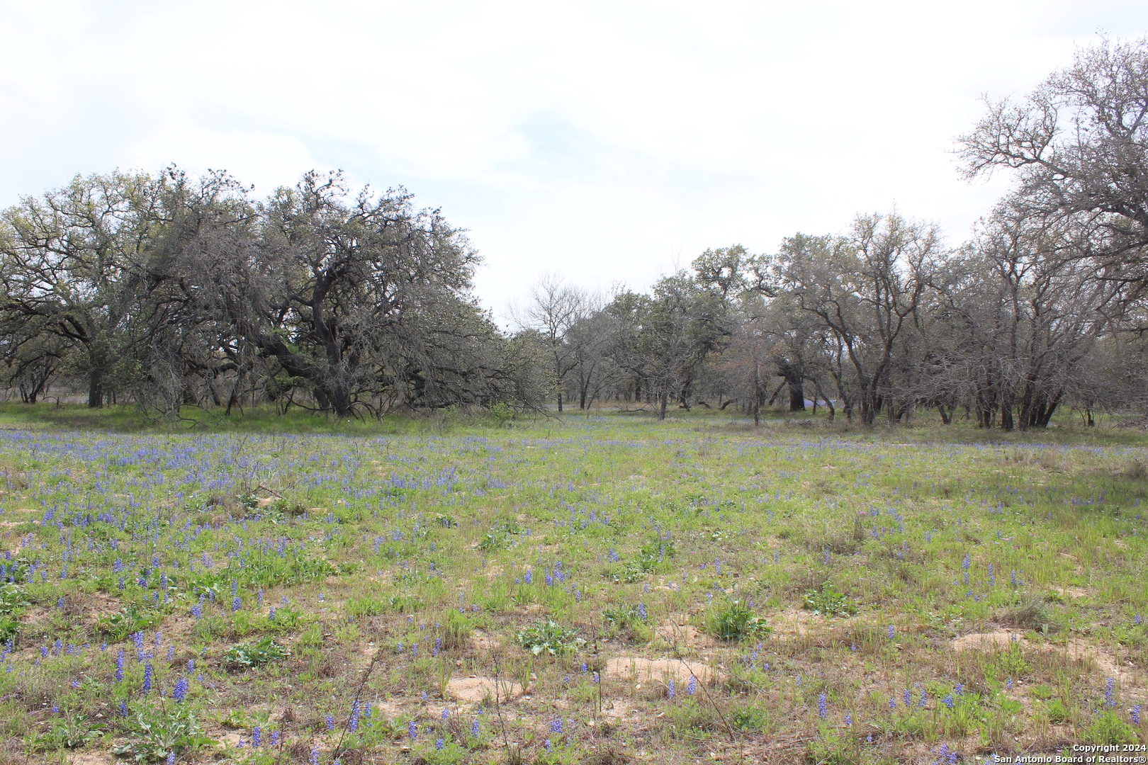 818 Encino Way Natalia TX 78059