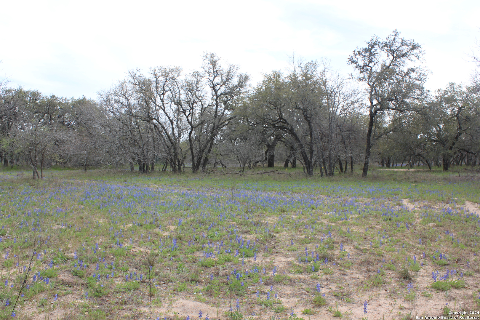 818 Encino Way Natalia TX 78059