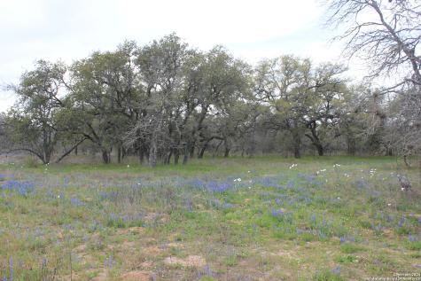 818 Encino Way Natalia TX 78059
