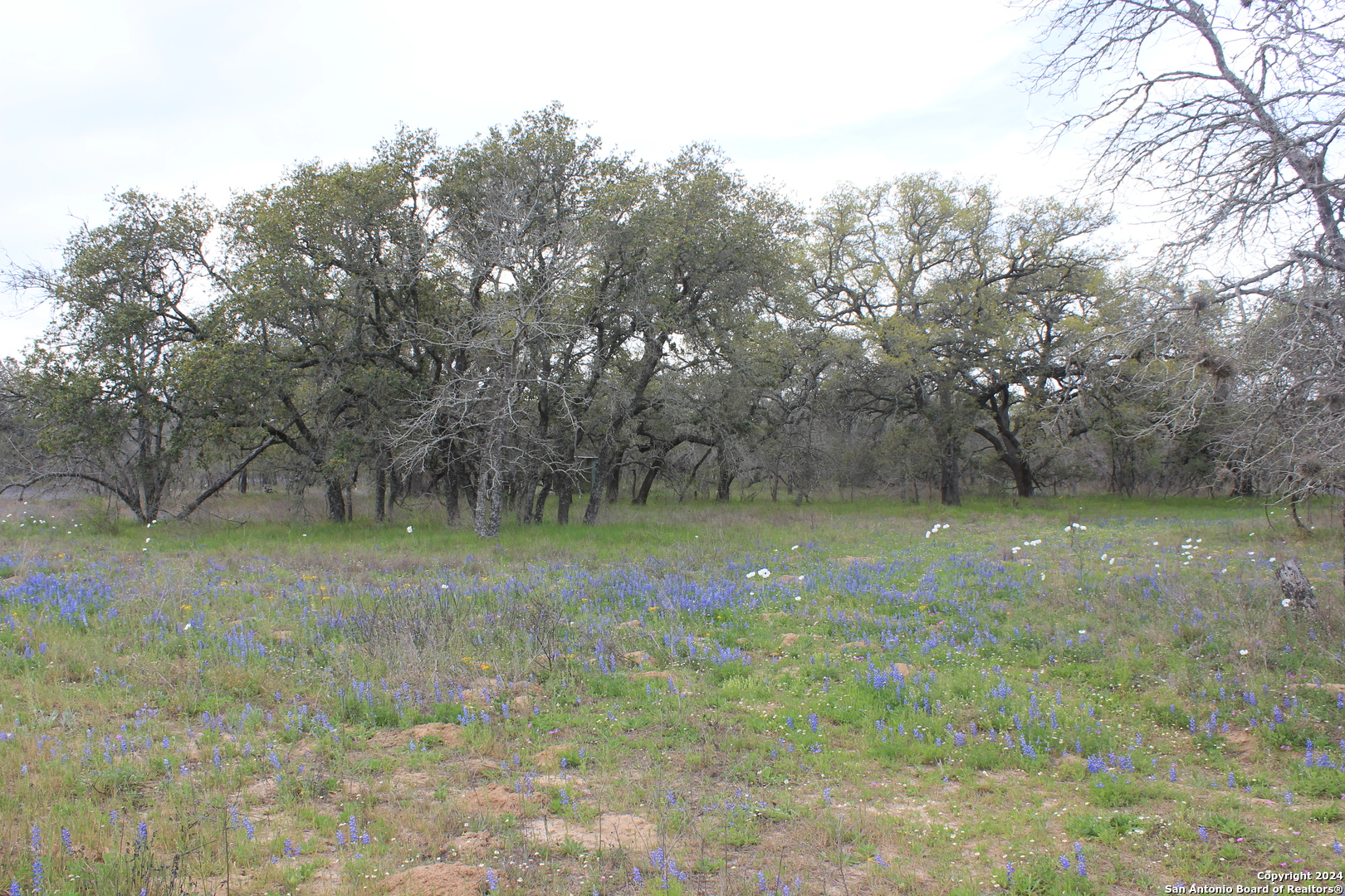 818 Encino Way Natalia TX 78059
