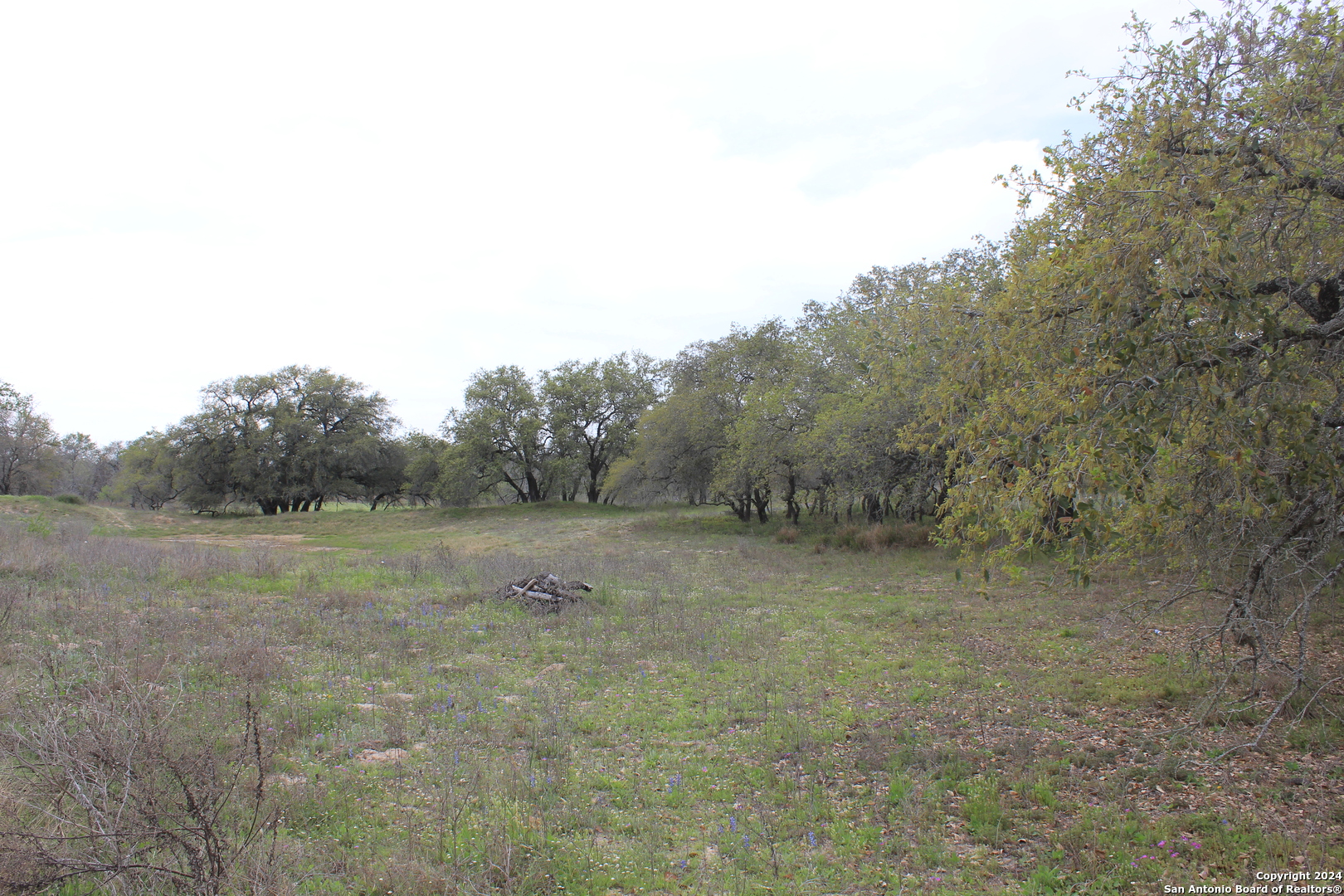 818 Encino Way Natalia TX 78059