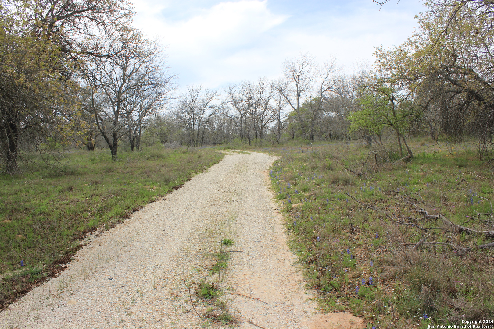 818 Encino Way Natalia TX 78059