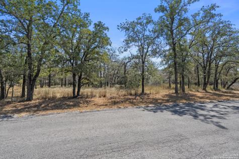 1963 Deer Trail Floresville TX 78114