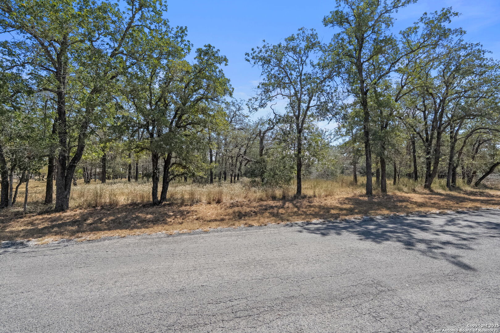 1963 Deer Trail Floresville TX 78114