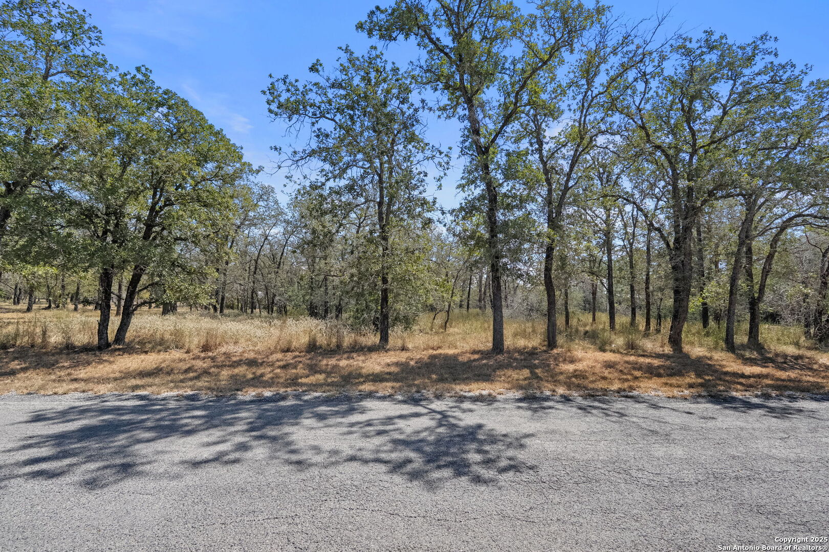 1963 Deer Trail Floresville TX 78114