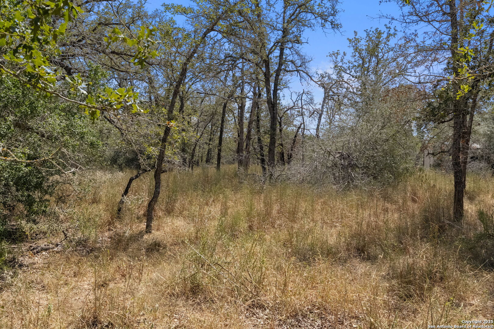 1963 Deer Trail Floresville TX 78114