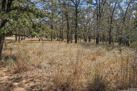 1963 Deer Trail Floresville TX 78114