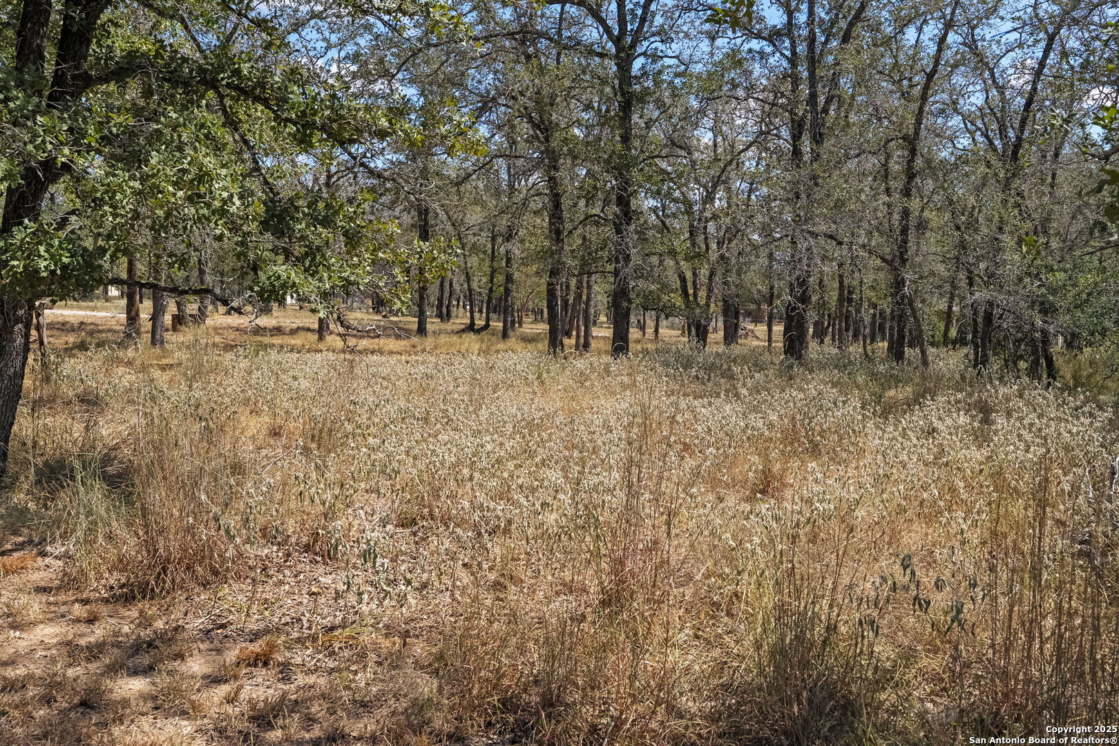 1963 Deer Trail Floresville TX 78114