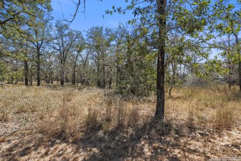 1963 Deer Trail Floresville TX 78114