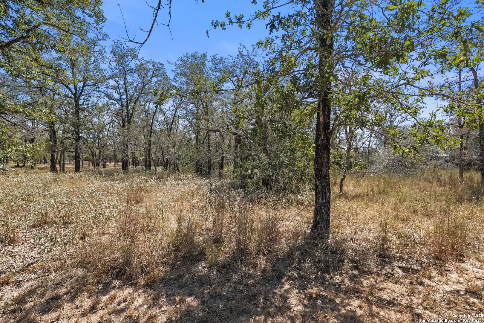 1963 Deer Trail Floresville TX 78114