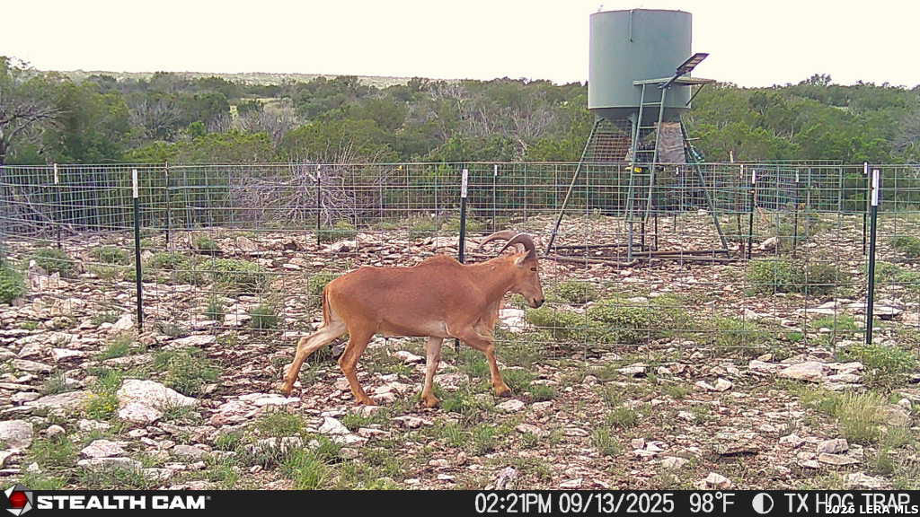 0 W Cooper Road Comstock TX 78837