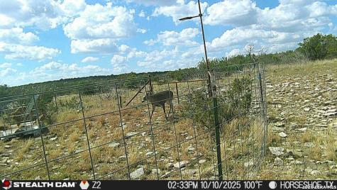 0 W Cooper Road Comstock TX 78837