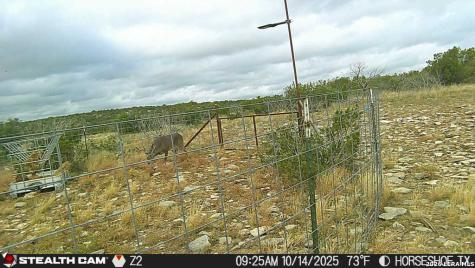 0 W Cooper Road Comstock TX 78837