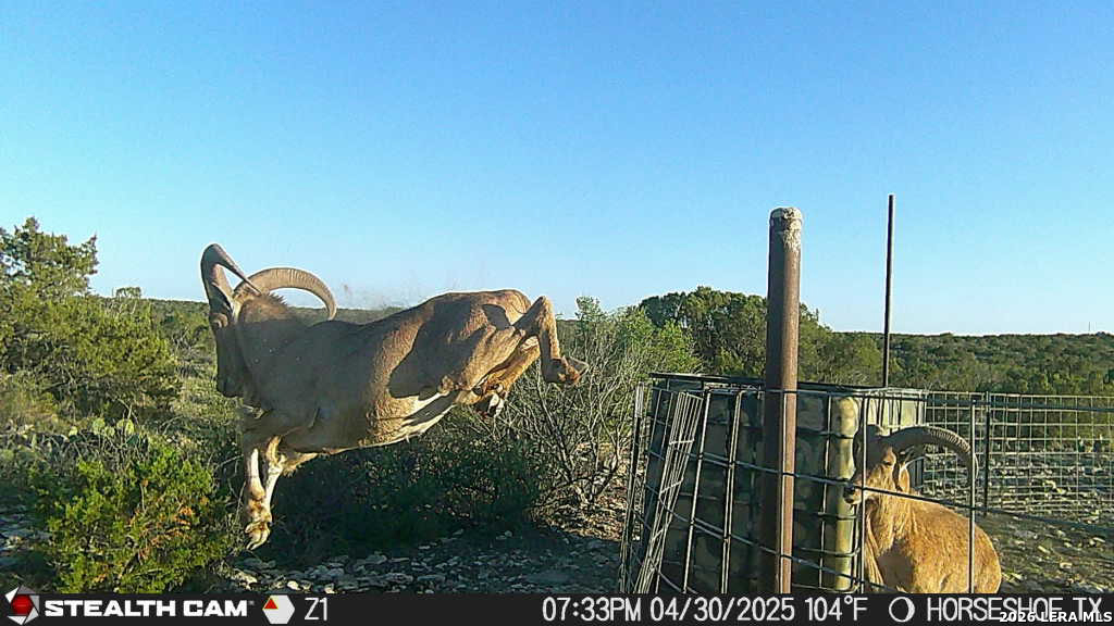 0 W Cooper Road Comstock TX 78837