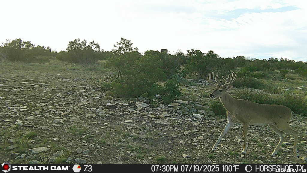 0 W Cooper Road Comstock TX 78837
