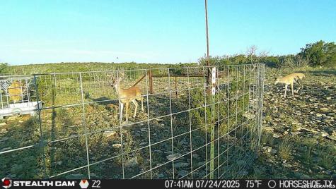 0 W Cooper Road Comstock TX 78837
